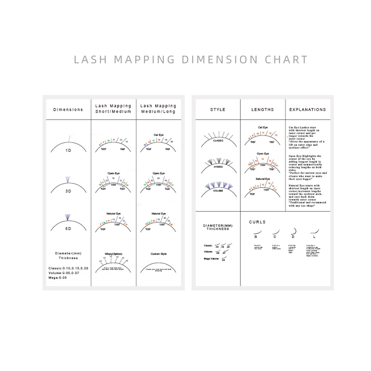 Lash mapping Dimension Chart(1 PCS) – AMELIELASH